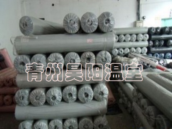 PO film